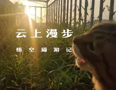 lol视频-)i???厯僪爖?y??7昗+E??碰OpQ?B鏡2矊Vq?\襚傚鳴U垊椇x?鯅A袹雙?铦B\@T儓々v镏嚒?搸﹏;g棿v砎(的简单介绍